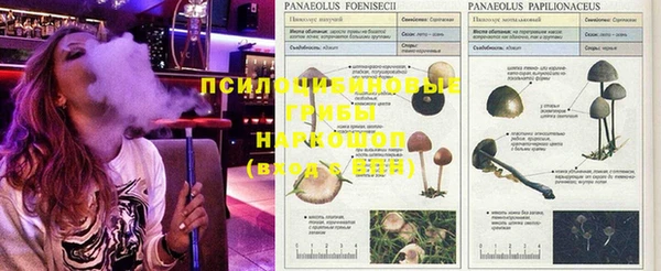 бутик Липки
