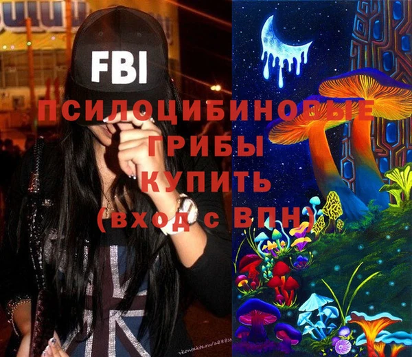 мдпв Лихославль