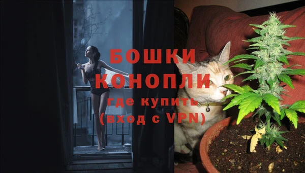 мдпв Лихославль