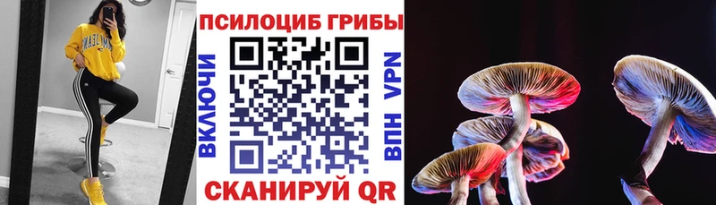 Купить закладки  Верхний Тагил  Псилоцибиновые грибы Cubensis 