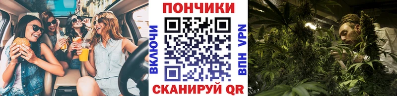 Купить  Верхний Тагил  Бошки Шишки конопля 